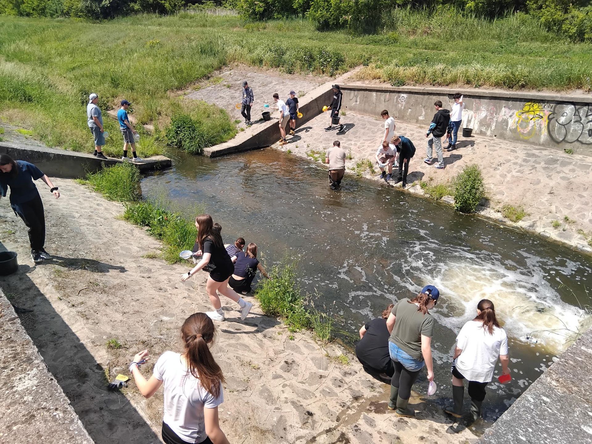Dunavirág vízibusz '26