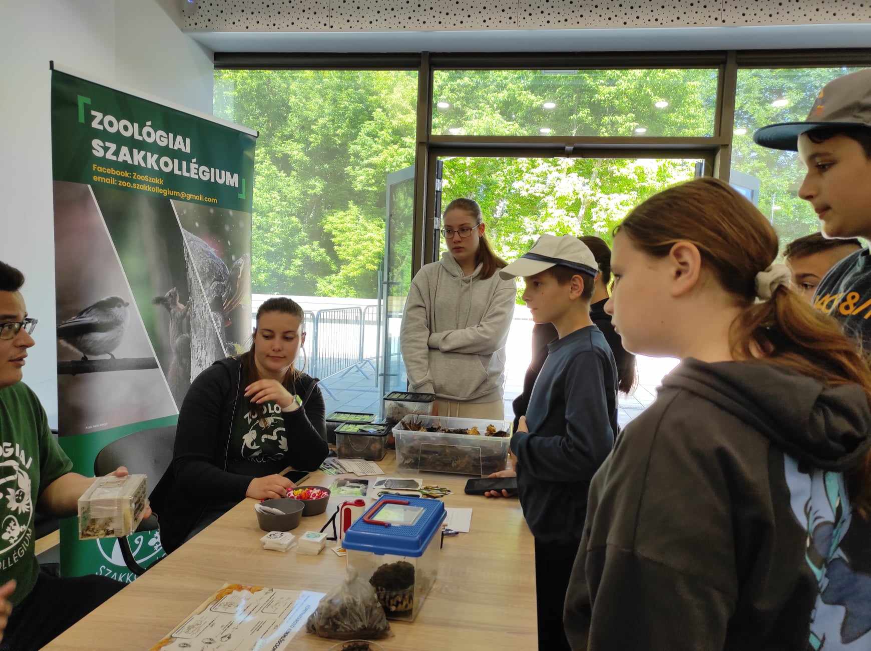 BioBlitz