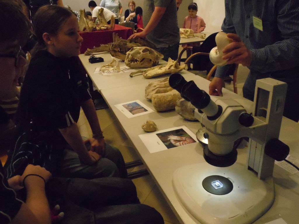 Föld tudományos Forgatag.1